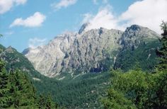 the mountains are covered with trees and clouds