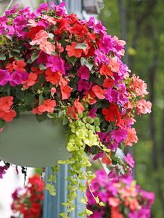 many different colored flowers hanging from a pole