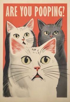 an old poster with two cats and the words are you pooping? on it