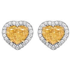 GIA Certified Double edge halo studs earrings in 18K Yellow Gold and Platinum With 2 Fancy Yellow Heart Shape Diamonds: 2.47ct Natural Fancy Yellow VS1 Heart Shape Diamond GIA#6435264603 2.67ct Natural Fancy Yellow VS1 Heart Shape Diamond GIA#1429089397 Total Carat Weight pave: 0.97ct (F/G Color, VS clarity) Luxury Yellow Gold Heart-shaped Diamond Earrings, Luxury Heart-shaped Yellow Gold Diamond Earrings, Luxury Yellow Heart-shaped Jewelry, Halo Stud Earrings, Yellow Heart, Halo Earrings Studs, Heart Shaped Diamond, Studs Earrings, Heart Shape