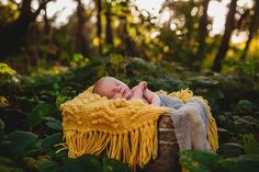 a baby wrapped in a yellow blanket laying on top of a wooden crate surrounded by trees