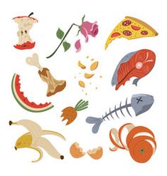 an assortment of different food items including fish, pizza and other foods on a white background