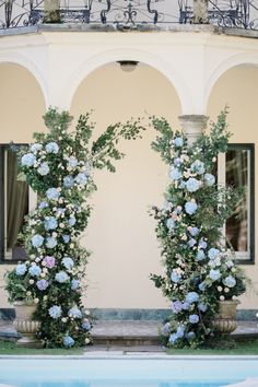 two blue flowers are growing on the side of a building next to a swimming pool