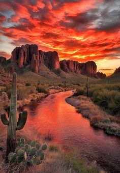 the sun is setting over a mountain range with a river running between it and a cactus in the foreground