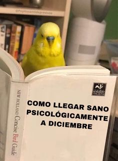 a yellow bird sitting on top of an open book in front of a bookshelf