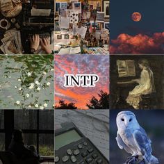 Intp Style Aesthetic, Intp Core Aesthetic, Intp Personality Aesthetic, Intp Vibes, Intp Personality Traits, Intp Aesthetics, Intp Core, Intp Girl, Intp Things