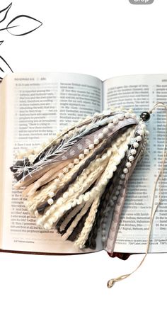 an open book with some tassels on it