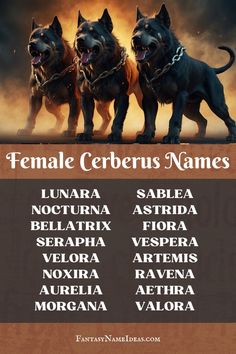 three dogs are standing in front of the words female cerbers names on a brown background