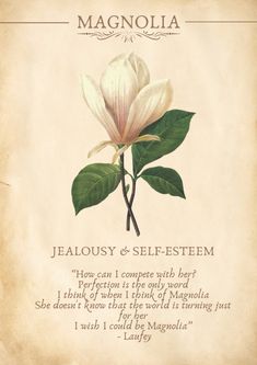 a white flower sitting on top of a piece of paper with words written below it