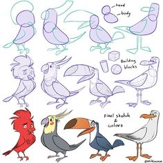 some different types of birds that are drawn