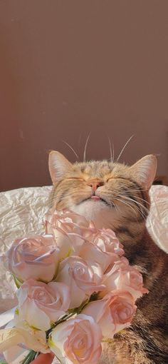 a cat laying on top of a bed with pink roses in it's mouth