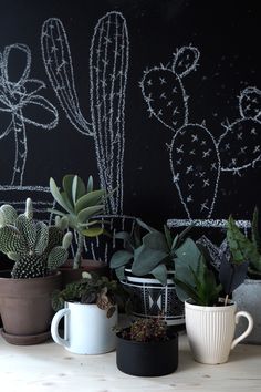 some potted plants are sitting on a table in front of a chalkboard wall