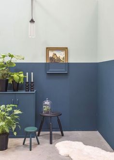 the instagram page on instagram shows an image of a room with blue walls and potted plants