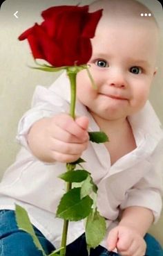 a baby holding a red rose up to its face