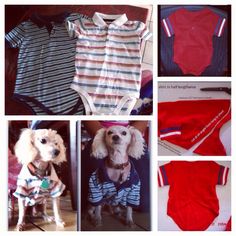 there are many different pictures of clothes for dogs