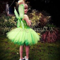 Halloween Tutu Costumes, Tutu Dress Costumes, Tinker Bell Costume, Halloween Tutu, Disney Tinkerbell, Fairy Festival, Party Photoshoot, Green Tulle, Fairy Birthday Party