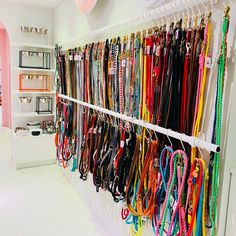 a rack full of different colored leashs hanging from the side of a wall in a store