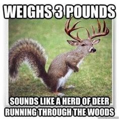 a squirrel with antlers on it's head and the caption says, weighs 3 pounds sounds like a herd of deer running through the woods