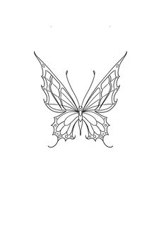 a black and white drawing of a butterfly