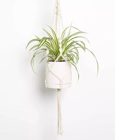 a white planter hanging on a wall with a rope attached to the side and a potted plant in it