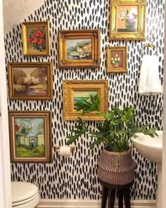 a bathroom with pictures on the wall and a potted plant in front of it