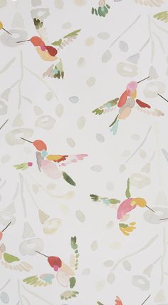 a white wallpaper with colorful birds and leaves on it's back drop down