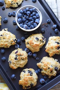 blueberry muffins on a baking sheet with a bowl of blueberries