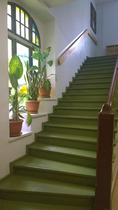 green stairs leading up to a window with potted plants on each handrails