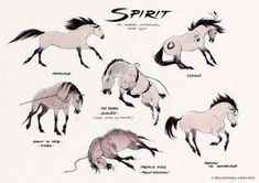 some drawings of horses running and jumping in different directions, with the words spirit above them