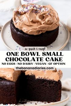 one bowl small chocolate cake with no eggs and dairy vegan gf option