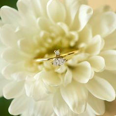 Abstract and minimal, this dainty ring tiny a round stone paired with a sideways Marquise stone. Great gift for September Birthdays! .925 Sterling Silver Cubic Zirconia crystals Hypoallergenic. Lead and nickel free Round 1.5mm, Marquise H 3mm x W 6mm Band Ring Thickness 1.5mm #R112 Marquise Band, September Birthday, Gold Band Ring, Dainty Ring, Band Ring, Gold Vermeil, Band Rings, Sterling Silver Rings, Cubic Zirconia