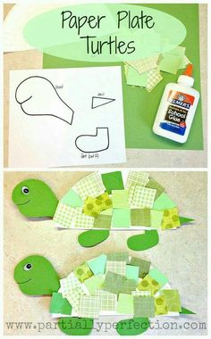 paper plate turtle craft for kids to make