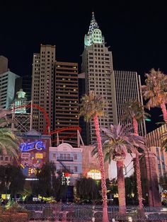 palm trees and buildings in the city at night