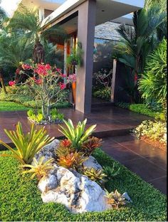 an outdoor area with plants and rocks in the foreground, surrounded by palm trees