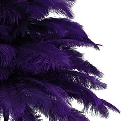 purple feathers are hanging from the top of a tall palm tree in front of a white background