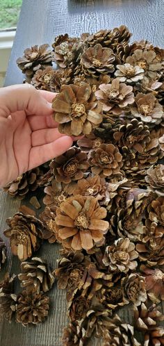 a person is reaching for pine cones on a table