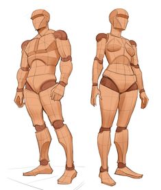 an image of a female body model with different parts on it's torso and back