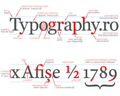 typographyrro and xaffse 1 / 2 / 899