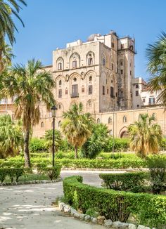 an old building surrounded by palm trees and greenery in the middle of a park