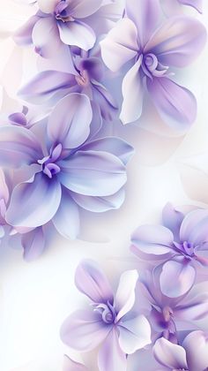 purple flowers on a white background