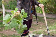 a woman is holding a shovel and digging in the ground next to her garden bed