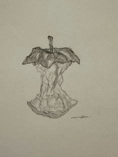 a pencil drawing of an apple in the shape of a human torso, on a white paper background