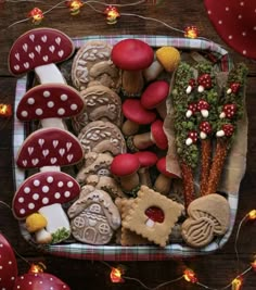 an assortment of decorated cookies in a tray on a table with christmas lights and decorations