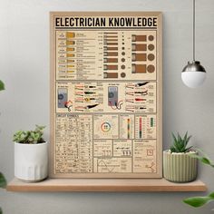 an electrician's know and use poster on a shelf next to a potted plant