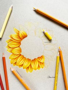 the sunflower is drawn on paper with colored pencils next to it and two crayons