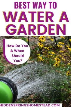 the best way to water a garden how do you and when should you use it?