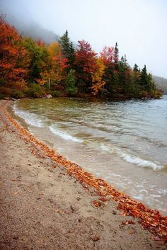 an image of a welcome fall sign on the beach