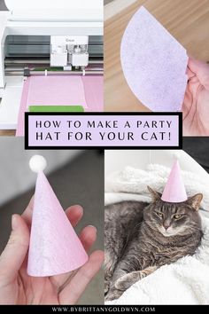 how to make a party hat for your cat