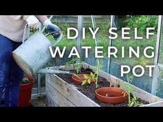 a woman watering plants in a garden with the words diy self watering pot