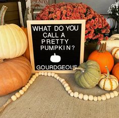 a sign that says what do you call a pretty pumpkin? surrounded by gourds